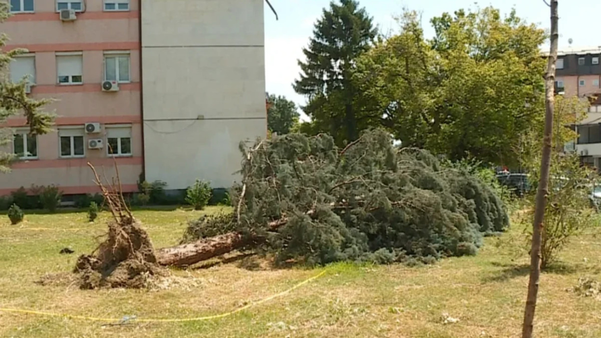 Një javë pas stuhisë, rrugët ende të papastruara - qytetarët ankohen për mospastrimin