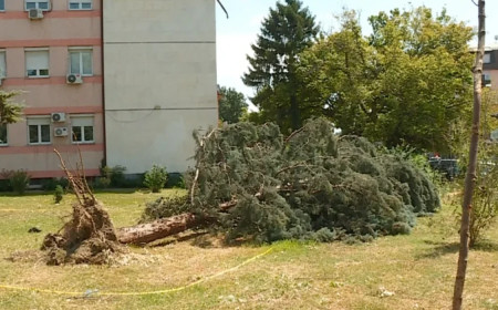 Një javë pas stuhisë, rrugët ende të papastruara - qytetarët ankohen për mospastrimin