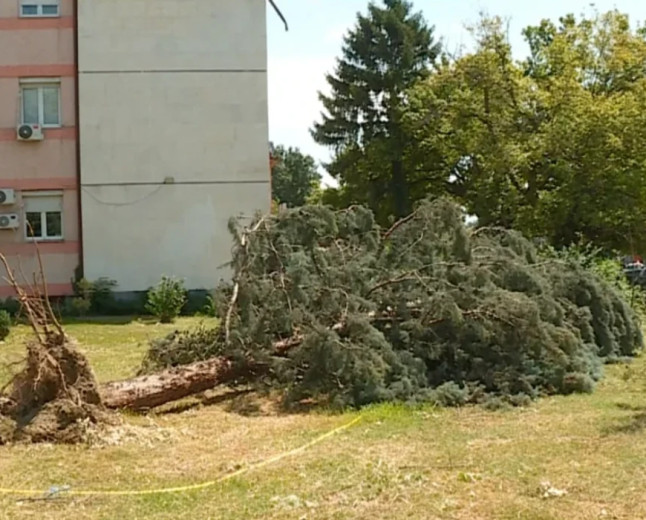 Një javë pas stuhisë, rrugët ende të papastruara - qytetarët ankohen për mospastrimin